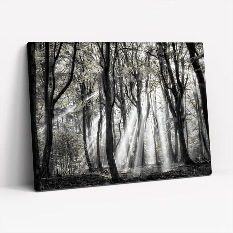 Ensemble de 1 tableau mural sur toile tendue « Rayon de lumière en forêt », H 12 po x l 18 po, Toile tendue