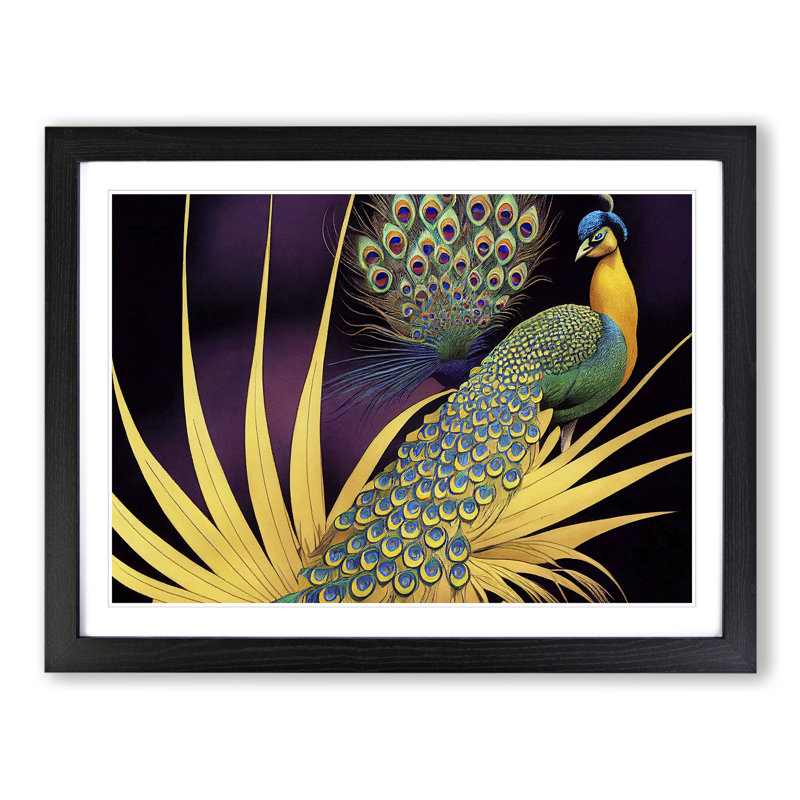 Captivating Peacock - Single Picture Frame Print, Black, 25cm H x 34cm W x 2cm D