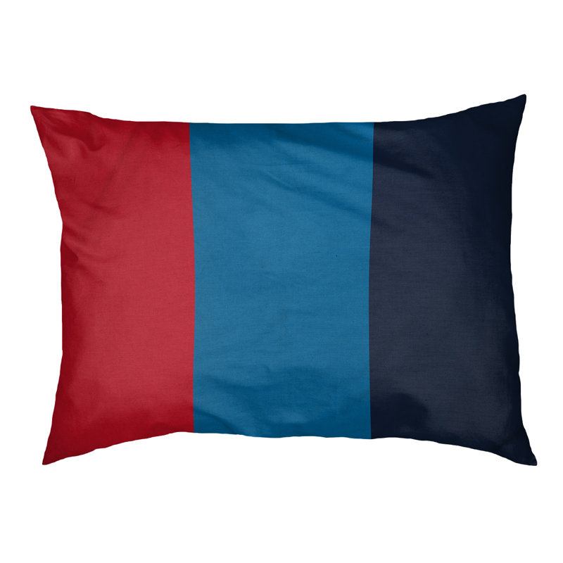 Coussin d'extérieur pour chien Mississippi Rebellion, Moyen (l 28 po x P 18 po x H 6 po), Rouge / bleu poudre / bleu marine