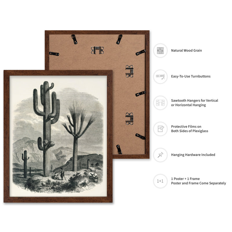 Cactacées de la limite, Poster, Brown Framed, 11"H x 14"W