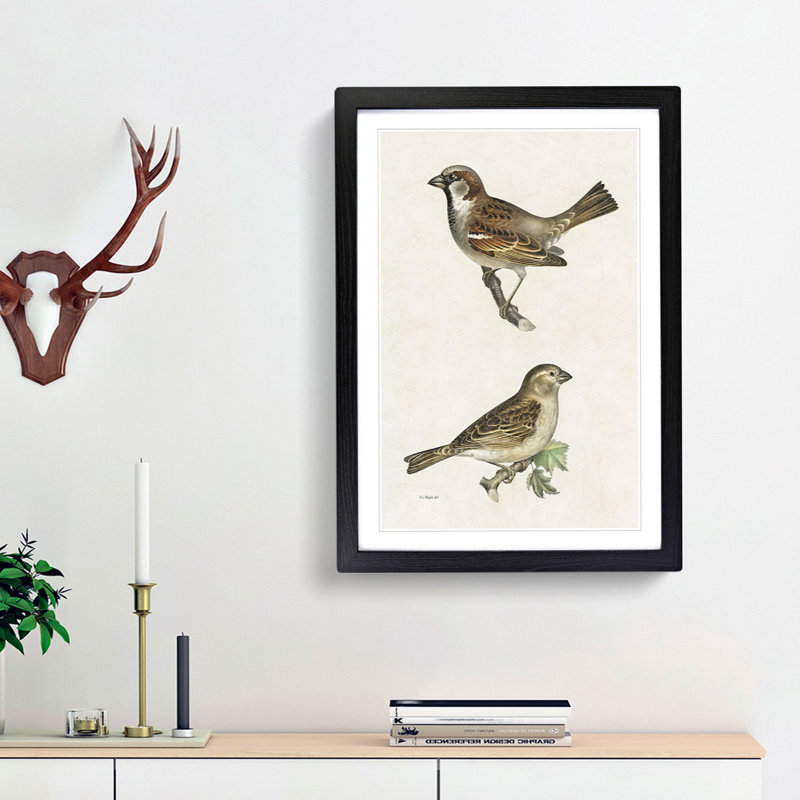 Chiffchaff & Sparrow by Von Wright - Picture Frame Painting Print, 48cm H x 36cm W x 2cm D, Black Framed