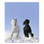 Snow Day Print-24074676