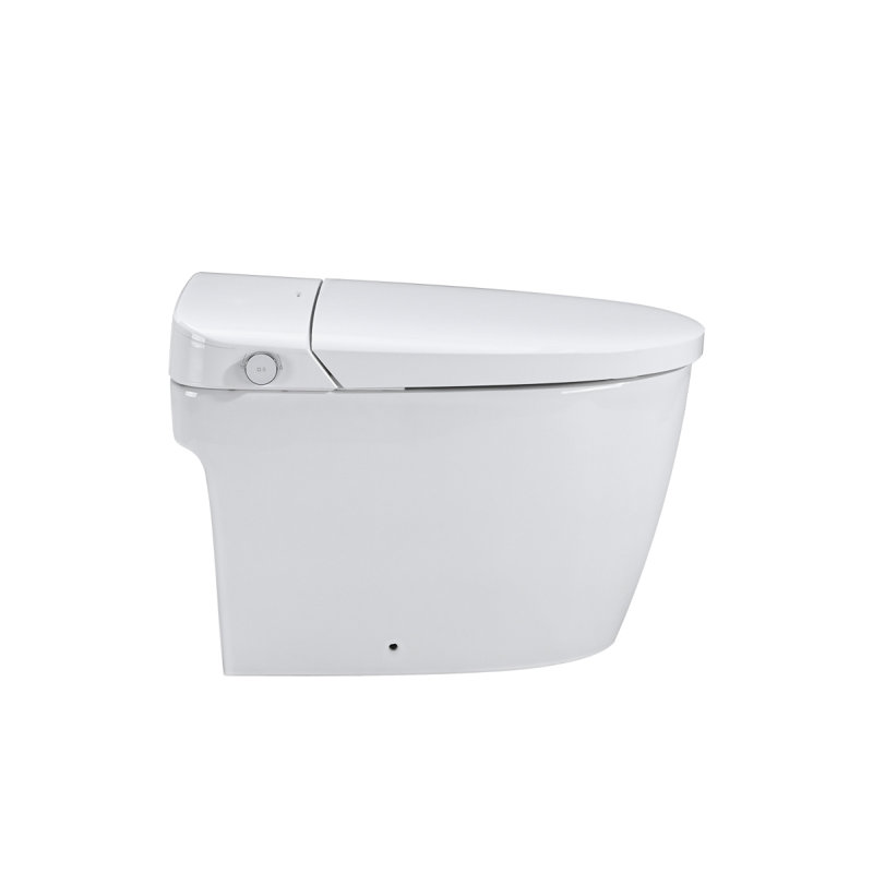 Smart Toilet Bidet Combo With Selfcleaning Nozzle, Heated Seat, Night Light, Knob Control, Power Outage Flushing, Soft Close, Auto Flush, With Remote Control