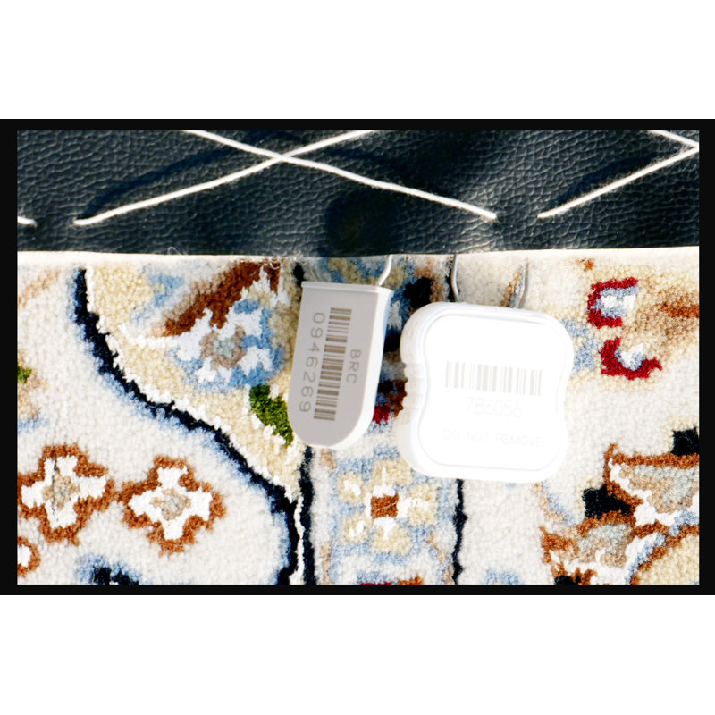 Walton Oriental Area Rug in Light Brown/Blue/Cream