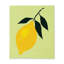 Ensemble de 2 torchons citrons