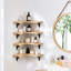 4 Piece Wood Bracket Shelf-476539140