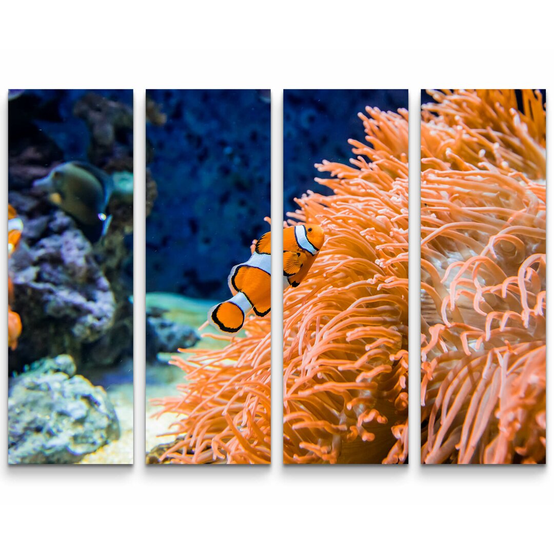 4-tlg. Leinwandbilder-Set Clownfisch und Seeanemone