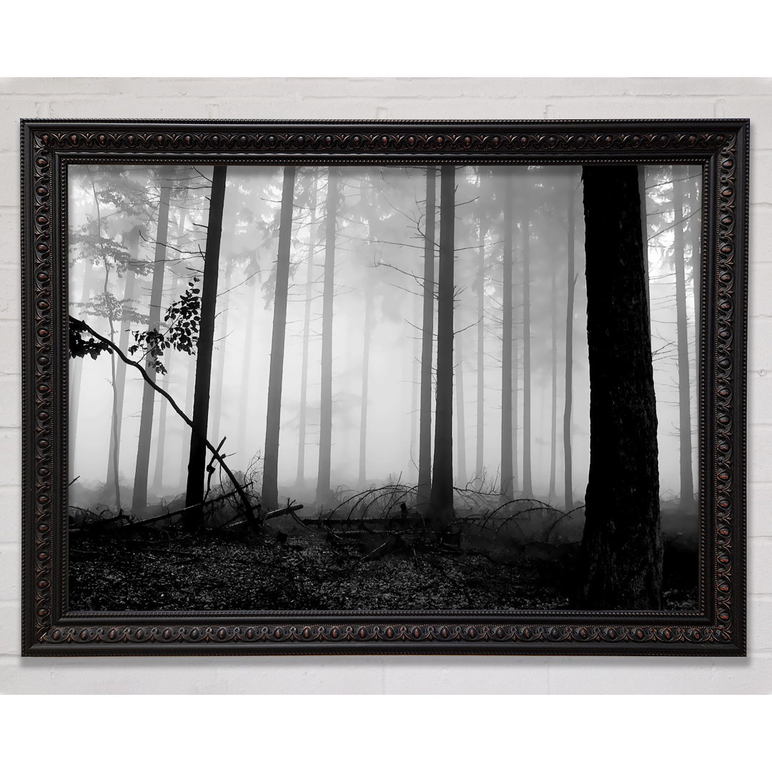 Silver N Silver Woodland Mist - Einzelner Bilderrahmen Kunstdrucke