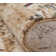 Hoddesd Abstract Area Rug in Ivory