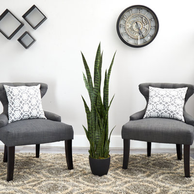 Bleecker Artificial Snake Plant in Pot