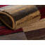 Tapis contemporain Arabica multicolore