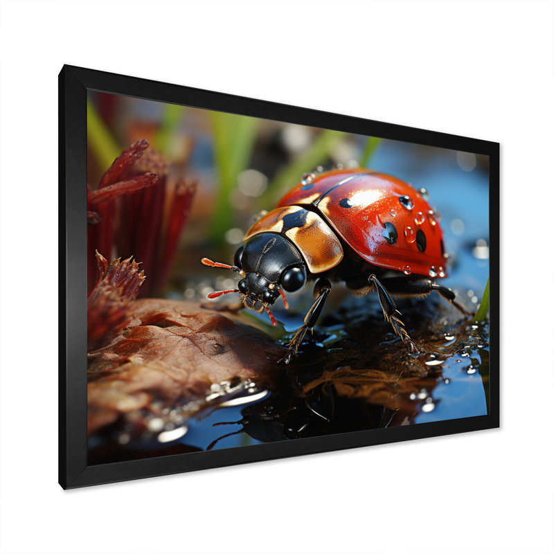 Portrait de coccinelle rouge III sur toile, H 30 po x l 40 po x P 1,5 po, Cadre simple noir