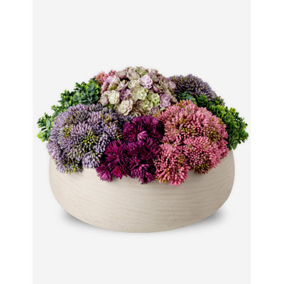 Georgina Sedum Floral Arrangement in Pot