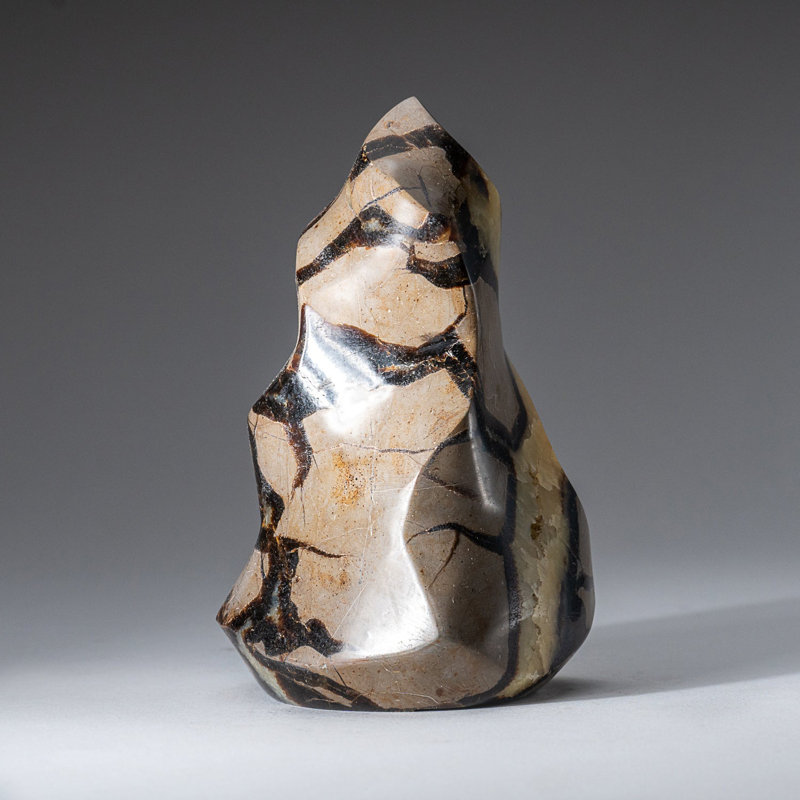 Polished Septarian Flame Freeform from Madagascar (1.5 Lbs)