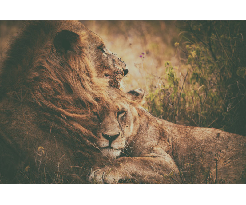 Wrapped Canvas Print, 81.28 cm H x 121.92 cm W