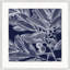 Transitional Leaf Composition On Navy 2 Print
