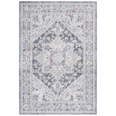 Scarlett 418 Performance Oriental Rug