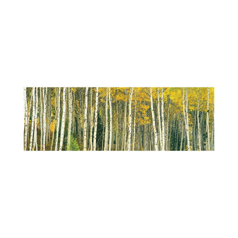 Dense Of Aspen Trees In A Forest, Grand Teton National Park, Teton County, Wyoming, USA - Wrapped Canvas Panoramic Painting