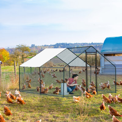 Emmeric Chicken Run