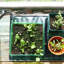Gro-Sure Hydroponic Unit