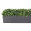 UV Rated Indoor/Outdoor Faux Boxwood Arrangement in Fiberstone Planter-328525832