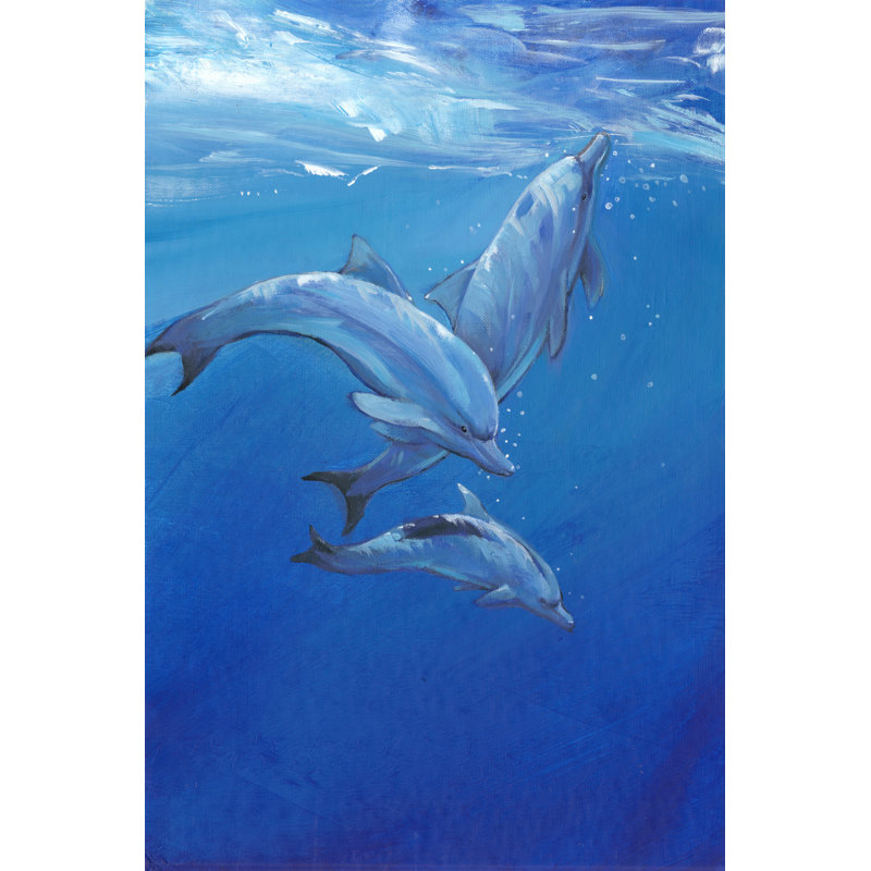 Under Sea Dolphins by Tim OToole - Wrapped Canvas Art Prints, 46cm H x 30cm W x 3.8cm D