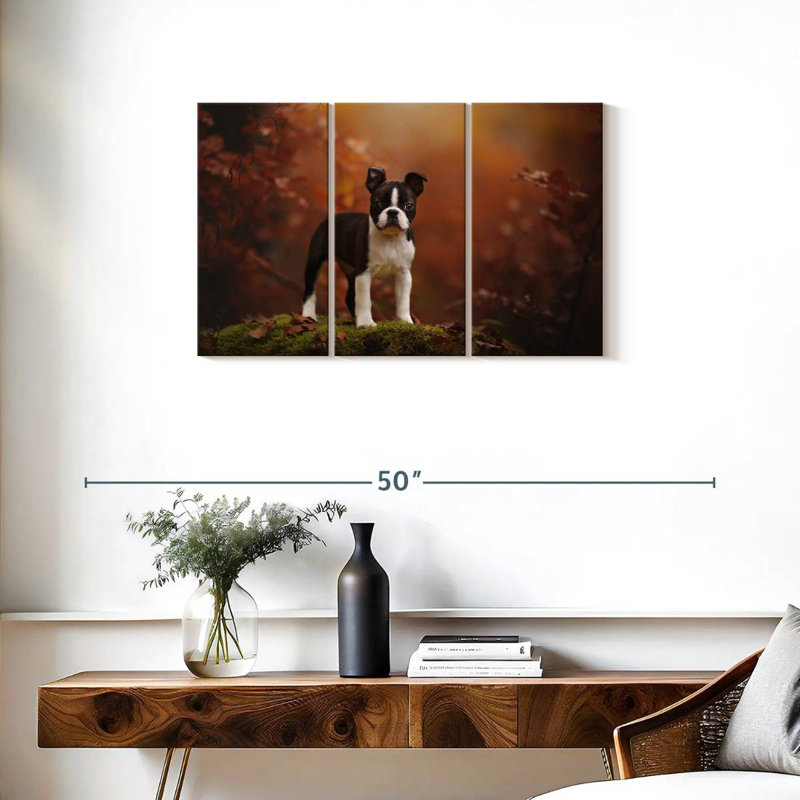 Boston terrier Brampt, H 20 po x l 33 po