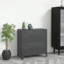 Armoire de rangement en métal avec 4 portes, poignée en métal, 29,5 po x 15,8 po x 31,5 po, noir, acier et plastique-15485540-15485563