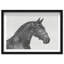 Midnight Majesty I Framed Graphic Art-1749364583-1743286230