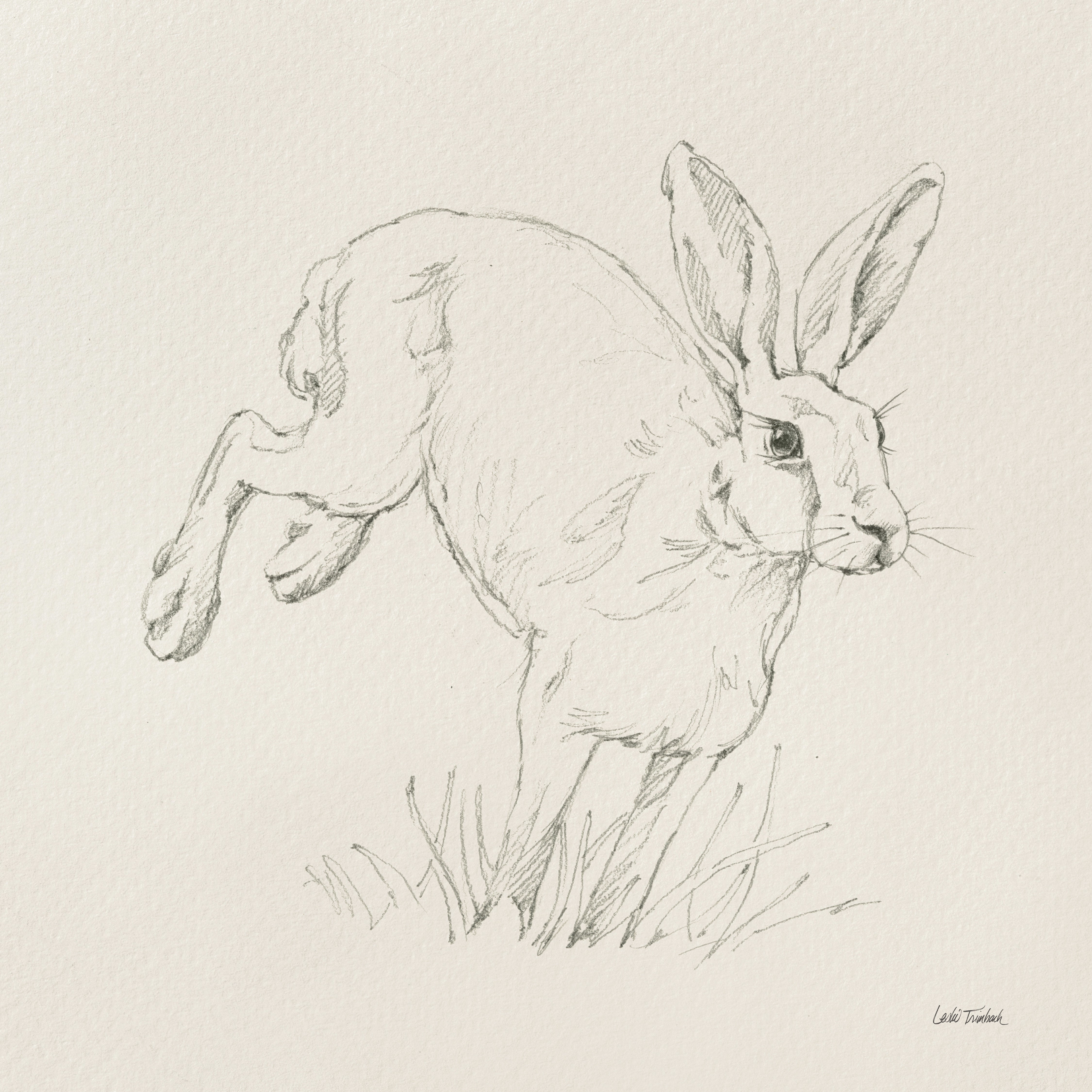 August Grove® Graceful Rabbit I On Canvas by Leslie Trimbach Print ...