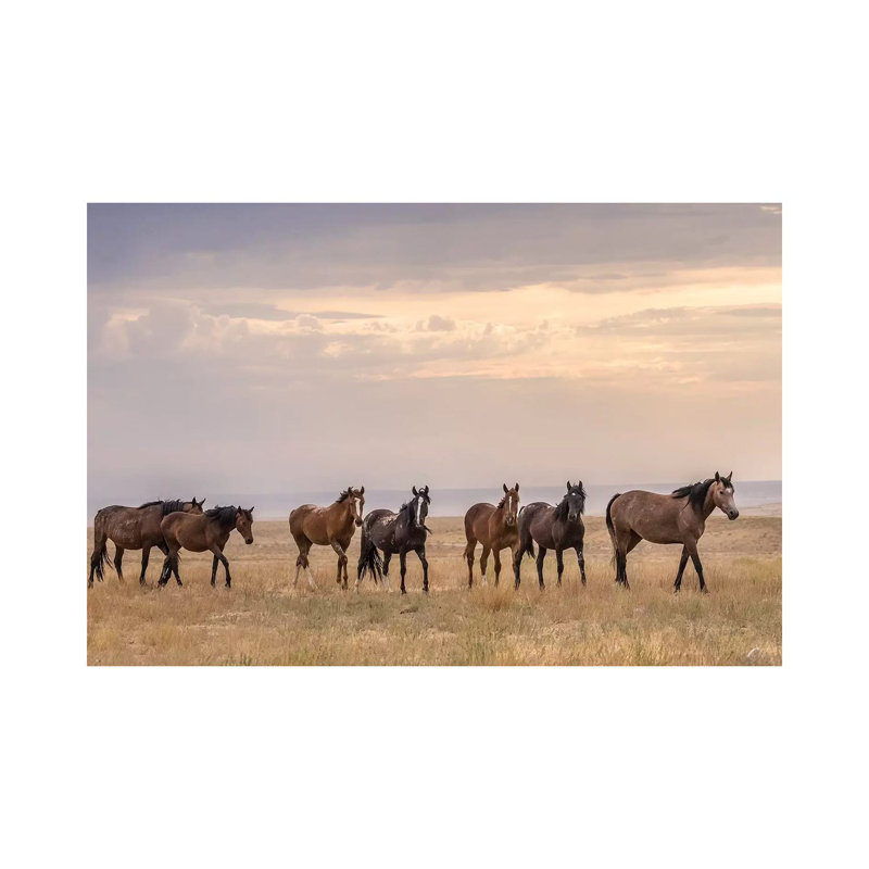 USA, Utah, Tooele County. Wild Horses Walking. by Jaynes Gallery - Wrapped Canvas Gallery-Wrapped Canvas Giclée
