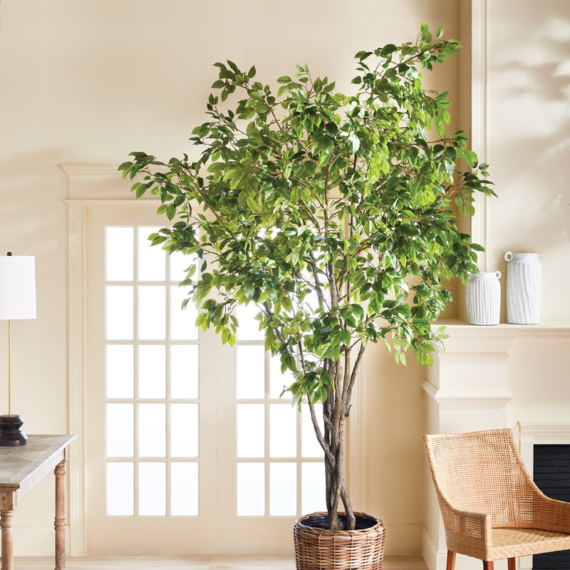 Faux grand arbre réaliste 10 pi Ficus Grande, H 120 po x l 95 po x P 95 po