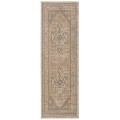 Matthei Oriental Indoor Rug