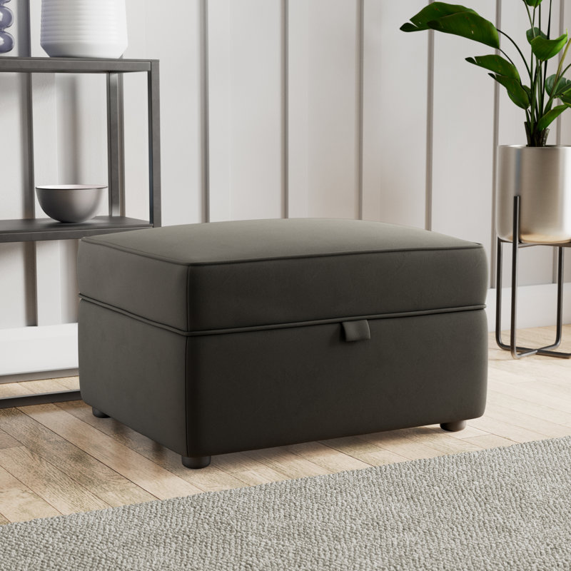 Birjesh 63cm Wide Rectangle Solid Colour Footstool Ottoman with Storage, Black