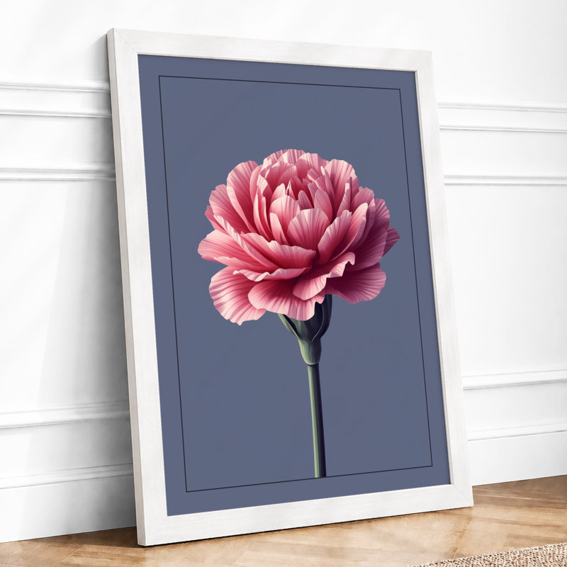 Pink Carnation Study Botanical - Framed Print, A3 - 42.0 x 29.7 cm, White