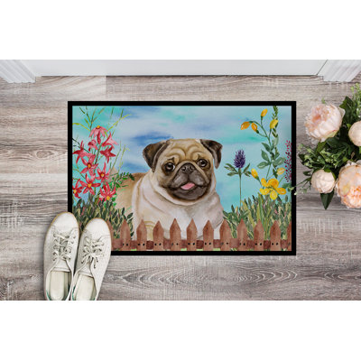 Non-Slip Outdoor Doormat