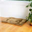 Tapis pour chien en velours doux-3848076-3848071