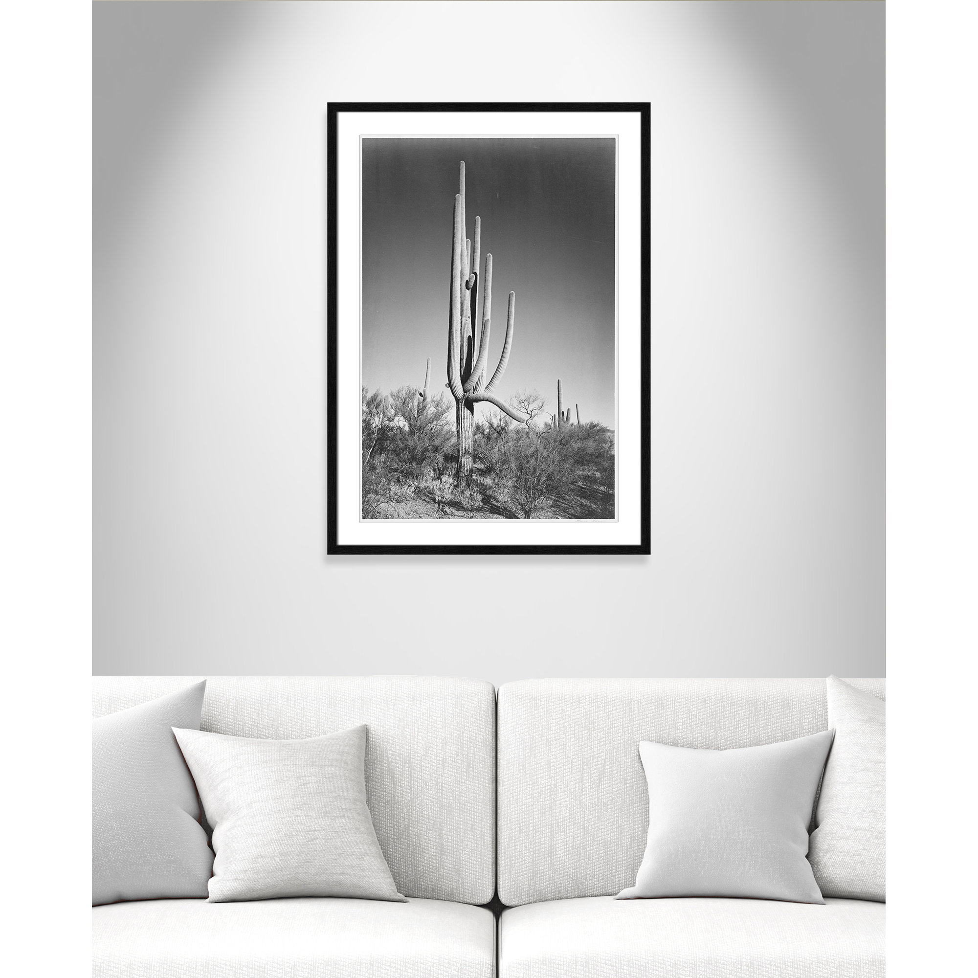 Cactus In Saguaro National Monument In Arizona by Ansel Adams, Black, 35.5" H x 25.5" W x 0.75" D
