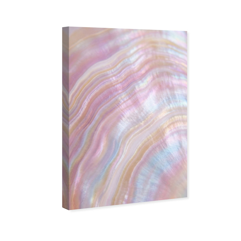 Blush Seashell Print by Oliver Gal, 15"H x 10"W, Gallery Wrapped