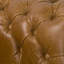 Tanesia 4 Seater Genuine Leather Sofa-808953850-808953851