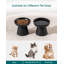 Elevated Feeder-124884119