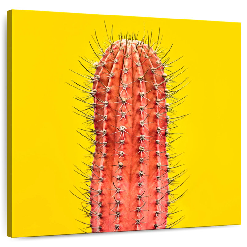 Harnek Orange Cactus, 16" H x 16" W