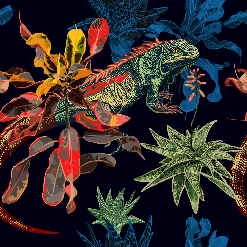 Cacti, FicUS And Iguana by MarinaVorontsova - Wrapped Canvas Print, 30cm H x 30cm W