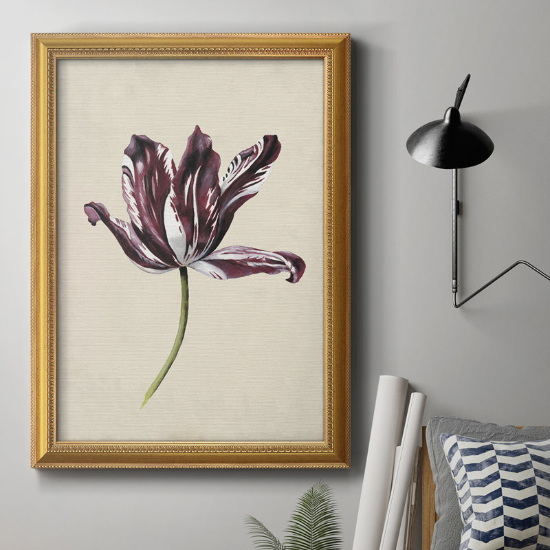 «Antique Tulip Study IV», toile encadrée de qualité supérieure - prête à être accrochée, H 20 po x l 16 po x P 2,5 po
