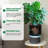 14 Inch Plant Pots, Self Watering Planters Set of 2 with Drainage Holes,Outdoor＆Indoor Black Planter Pots, Planter Pots with Inner Bucket and Water Level Monitor, for Patio, Porch, Living Room