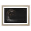 Black Cat with Yellow Eyes - Picture Frame Painting Print-56633750-56633752