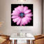 Rose Harnek-109033791