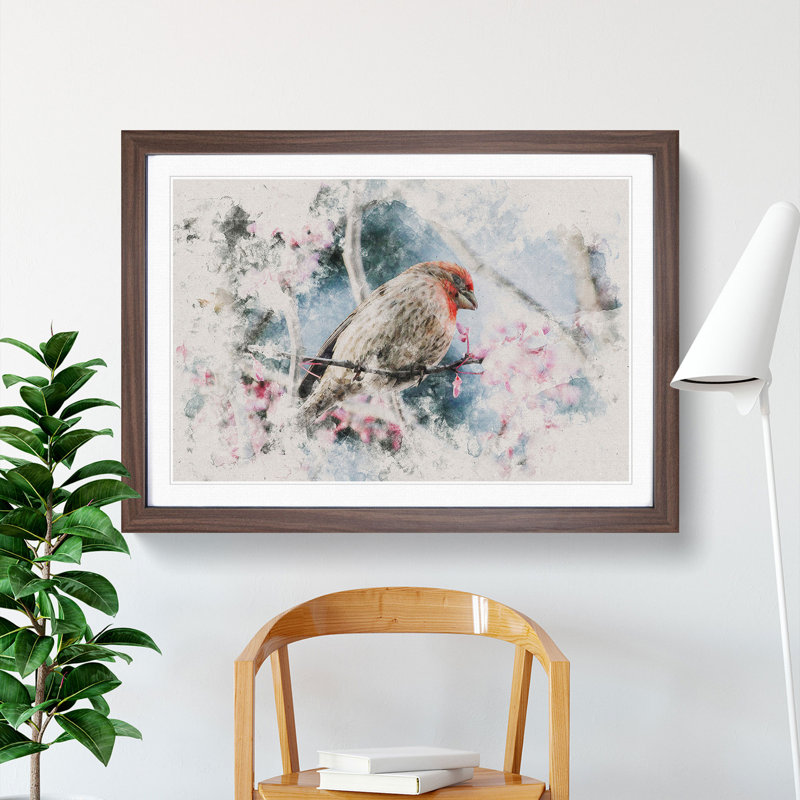 A House Finch Bird Watercolour - Picture Frame Graphic Art, Walnut, 48cm H x 65cm W x 2cm D