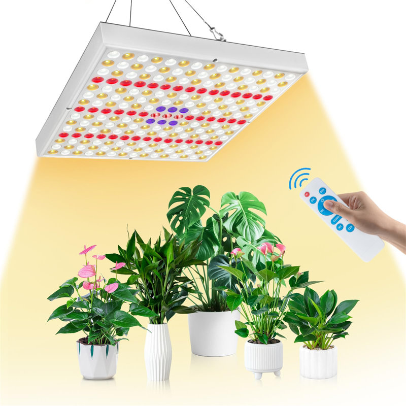 Brayden Studio Grow Light