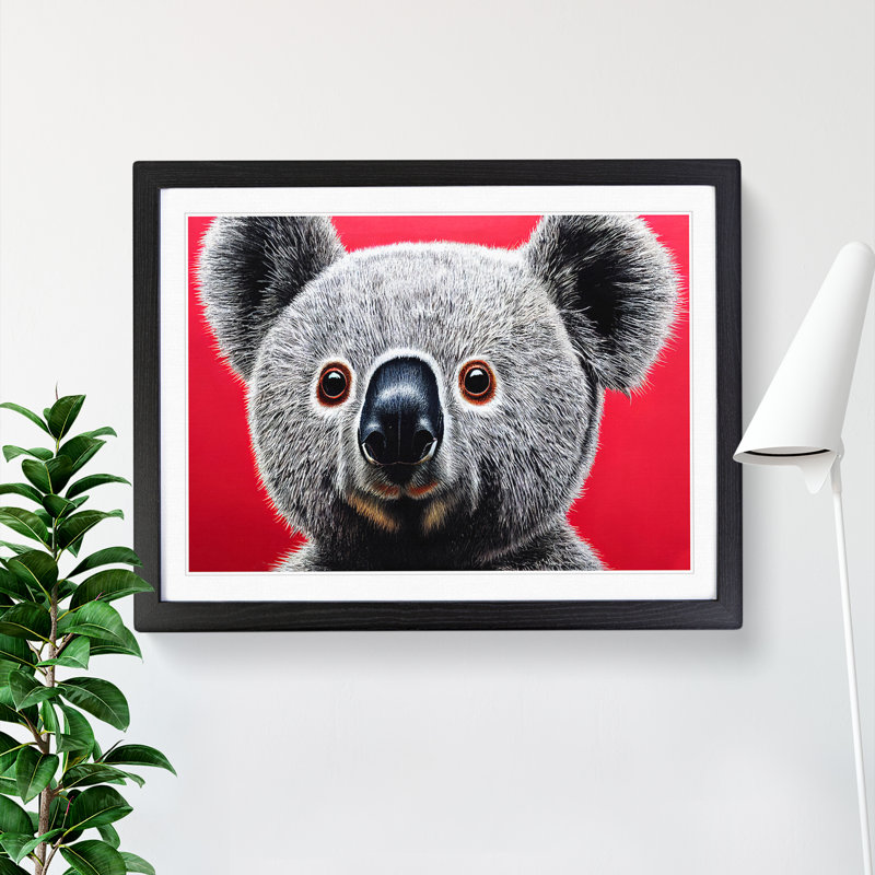 Handsome Koala Bear - Single Picture Frame Print, Black Framed, 46cm H x 64cm W x 2cm D
